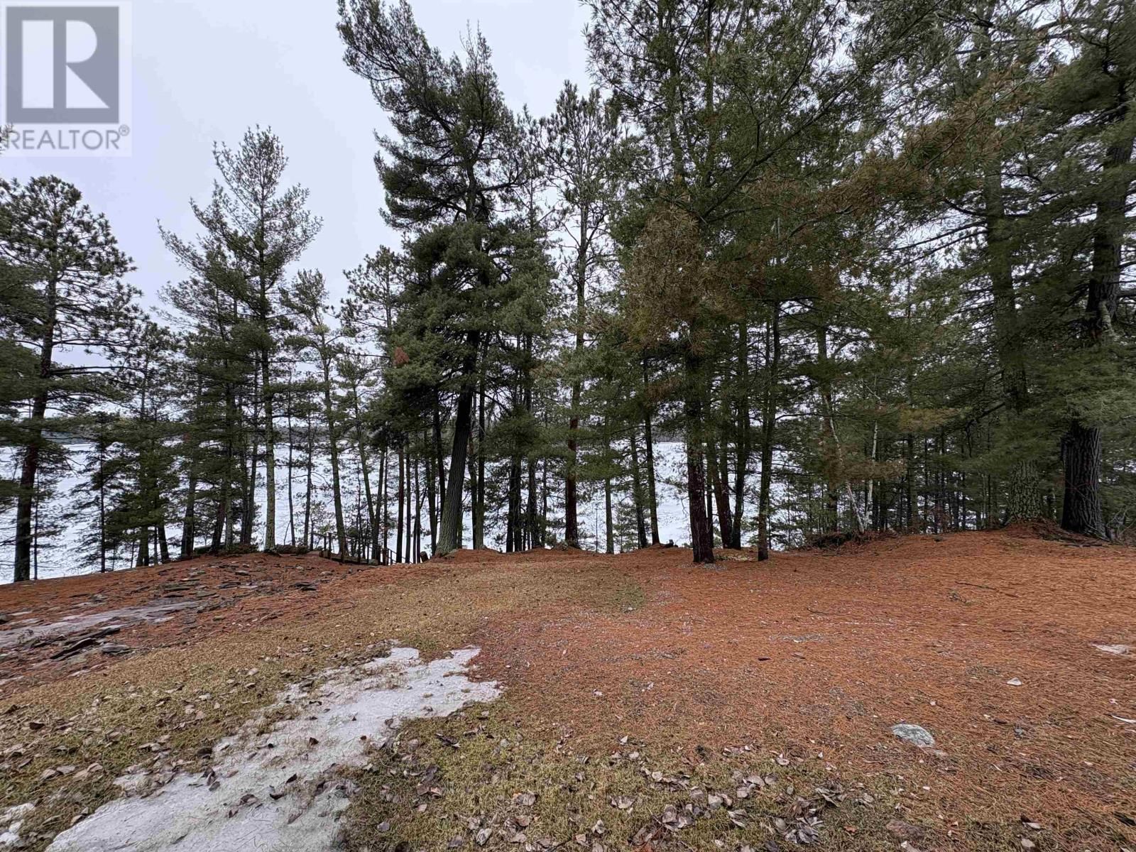 283 JAPADA TRL Image 49