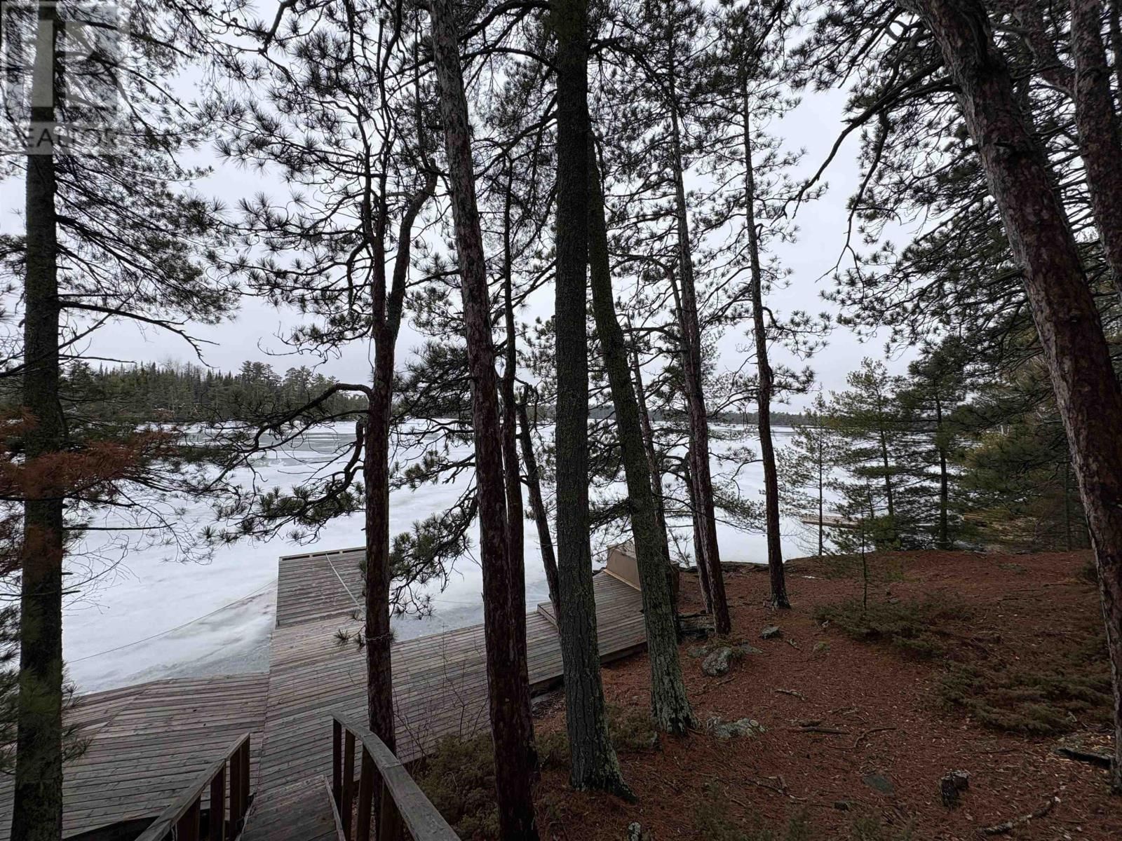 283 JAPADA TRL Image 5