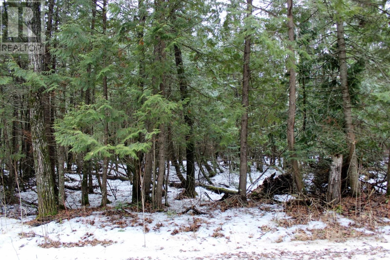 18847 NEGLEY RD Image 12