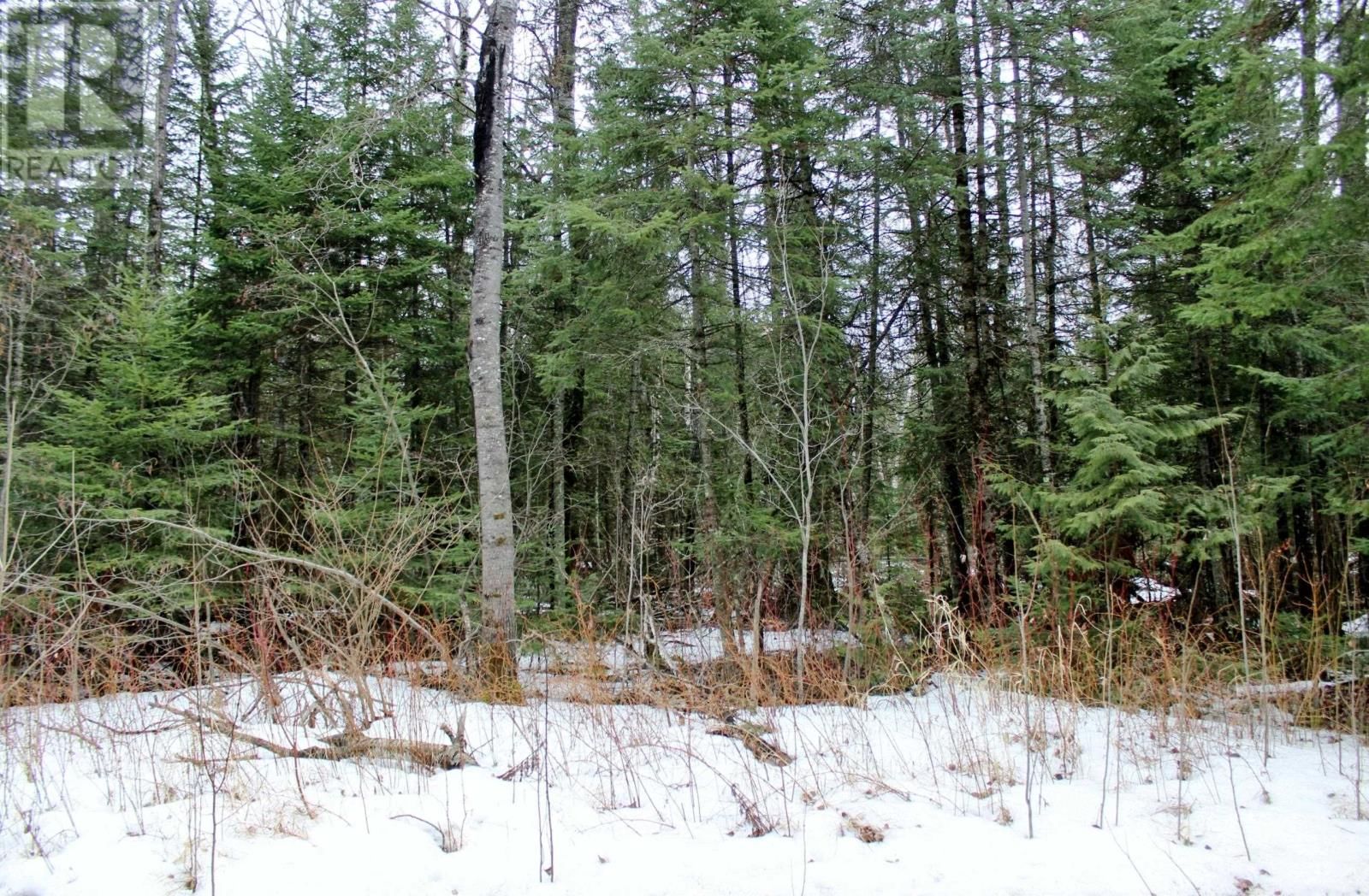 18847 NEGLEY RD Image 13