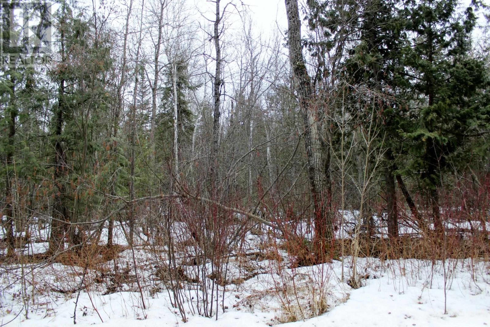 18847 NEGLEY RD Image 14