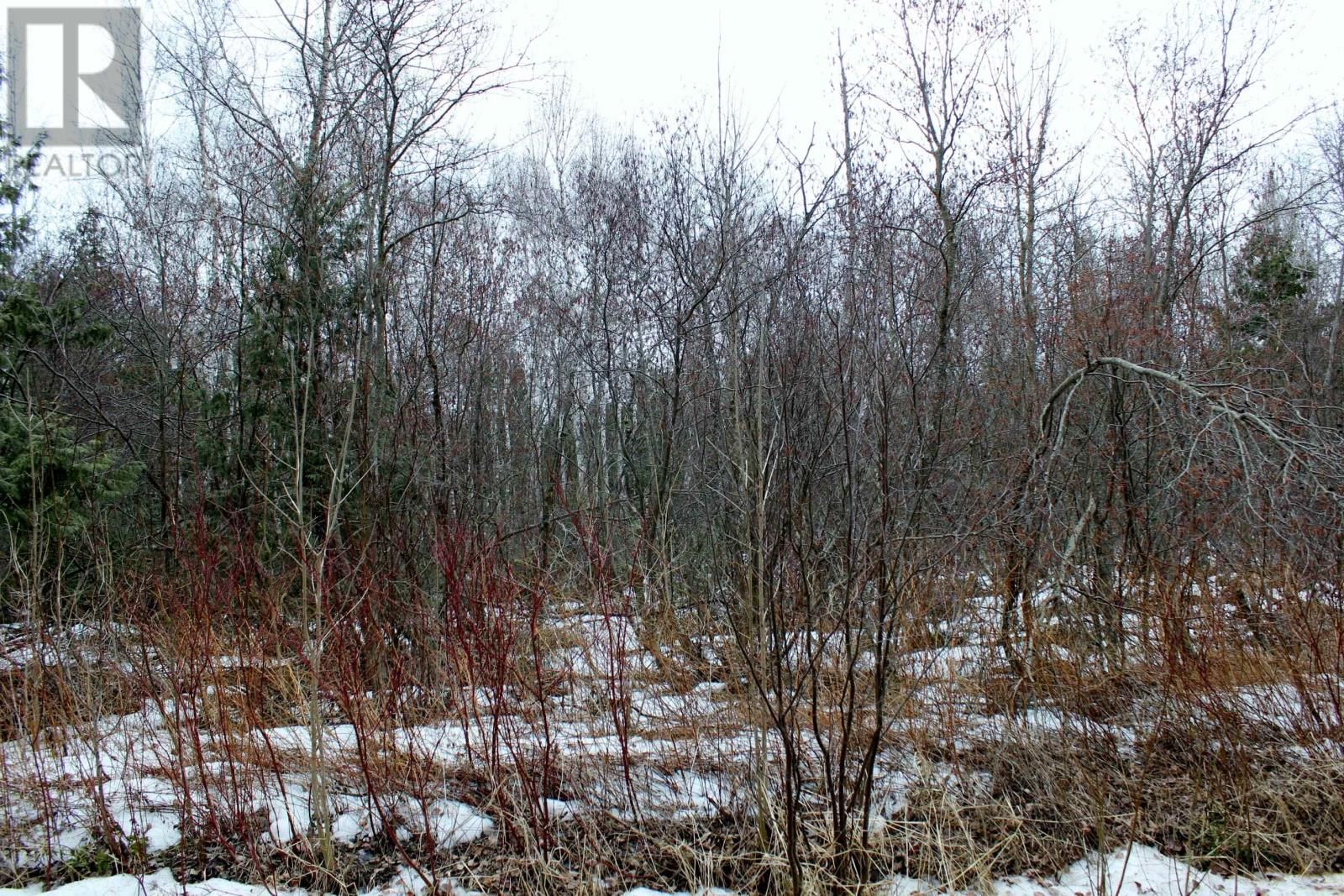 18847 NEGLEY RD Image 15