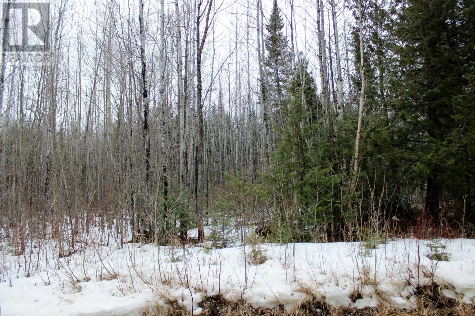 18847 NEGLEY RD Image 16