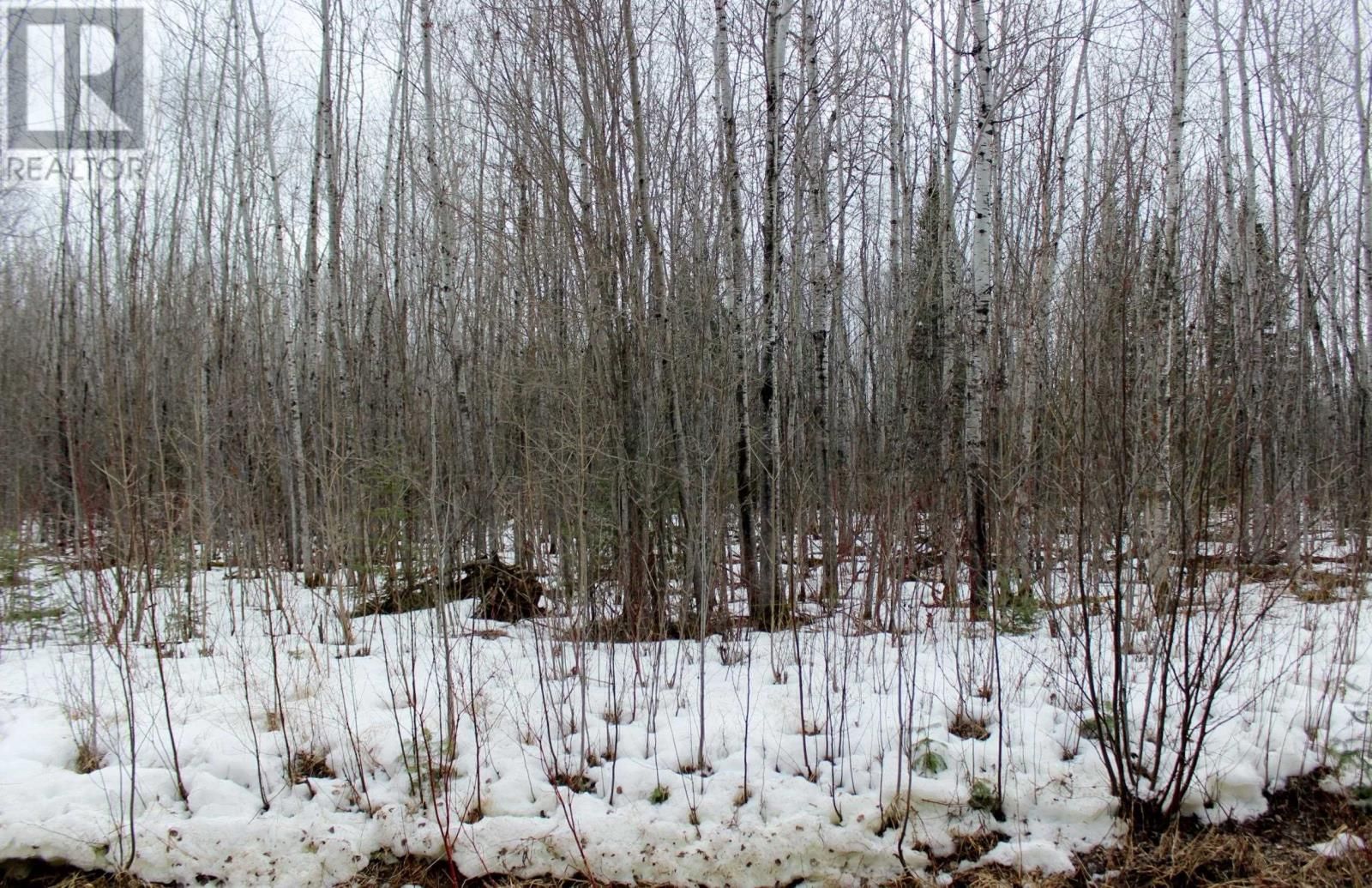 18847 NEGLEY RD Image 17