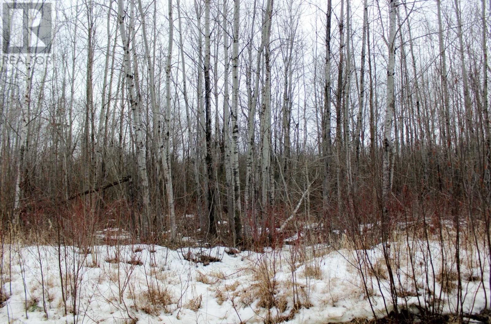 18847 NEGLEY RD Image 18