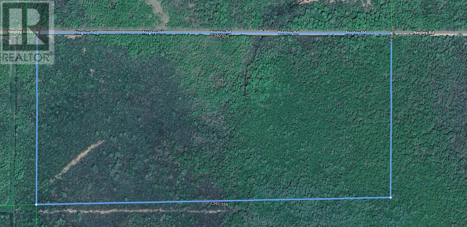 18847 NEGLEY RD Image 4