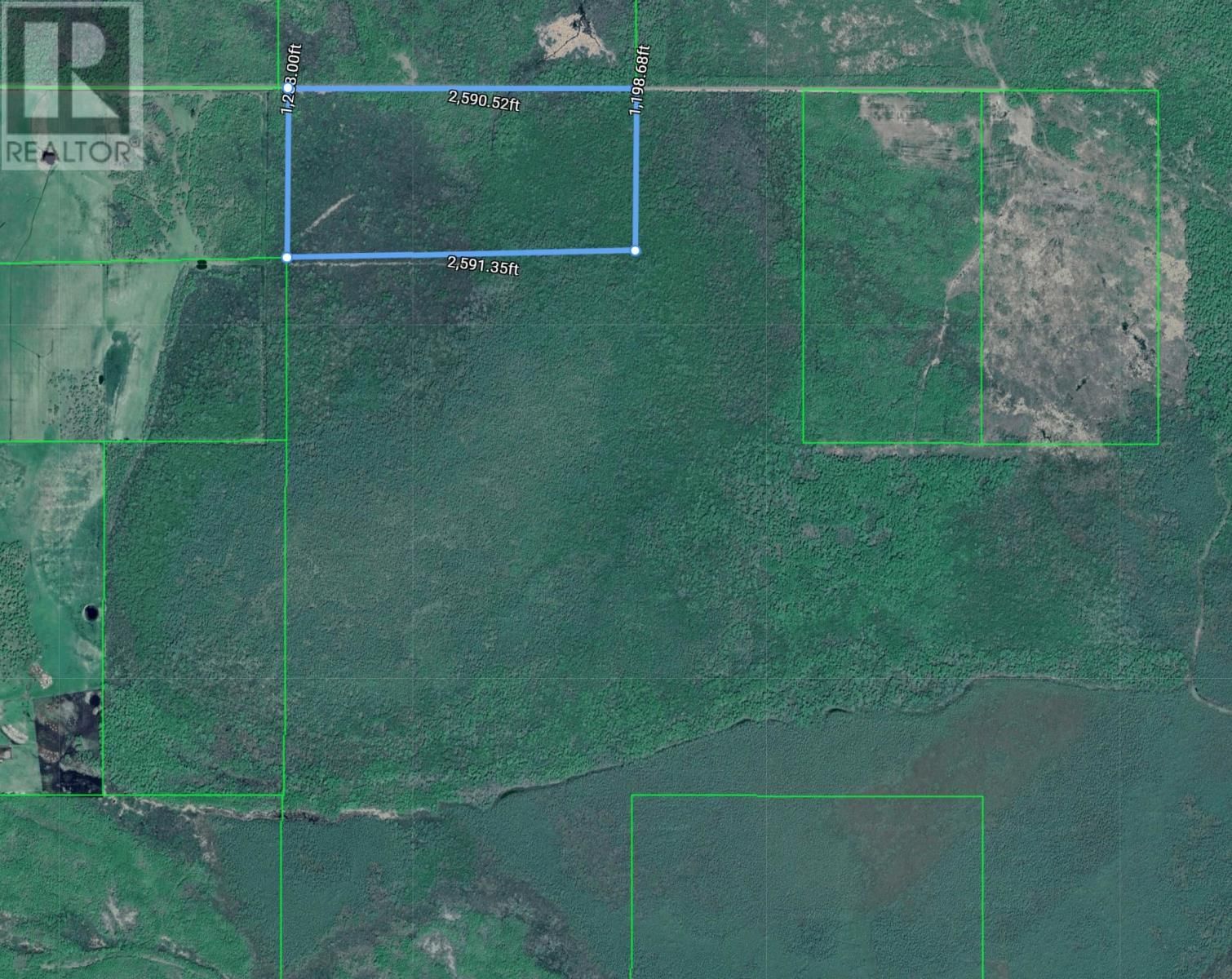 18847 NEGLEY RD Image 5