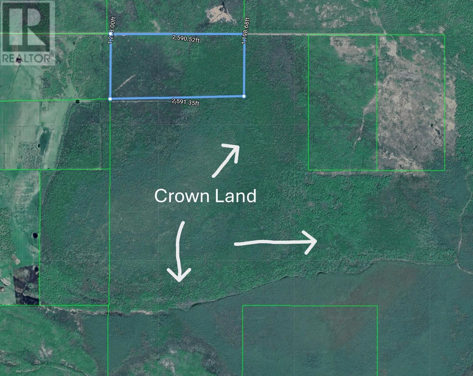 18847 NEGLEY RD Image 6