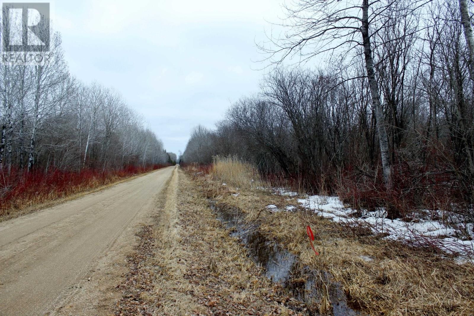 18847 NEGLEY RD Image 9