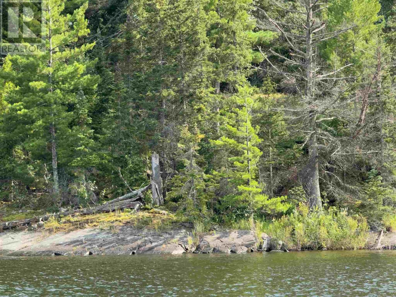 3, 9 AND 10 DORION ISLAND LAKE OF THE WOODS Image 25