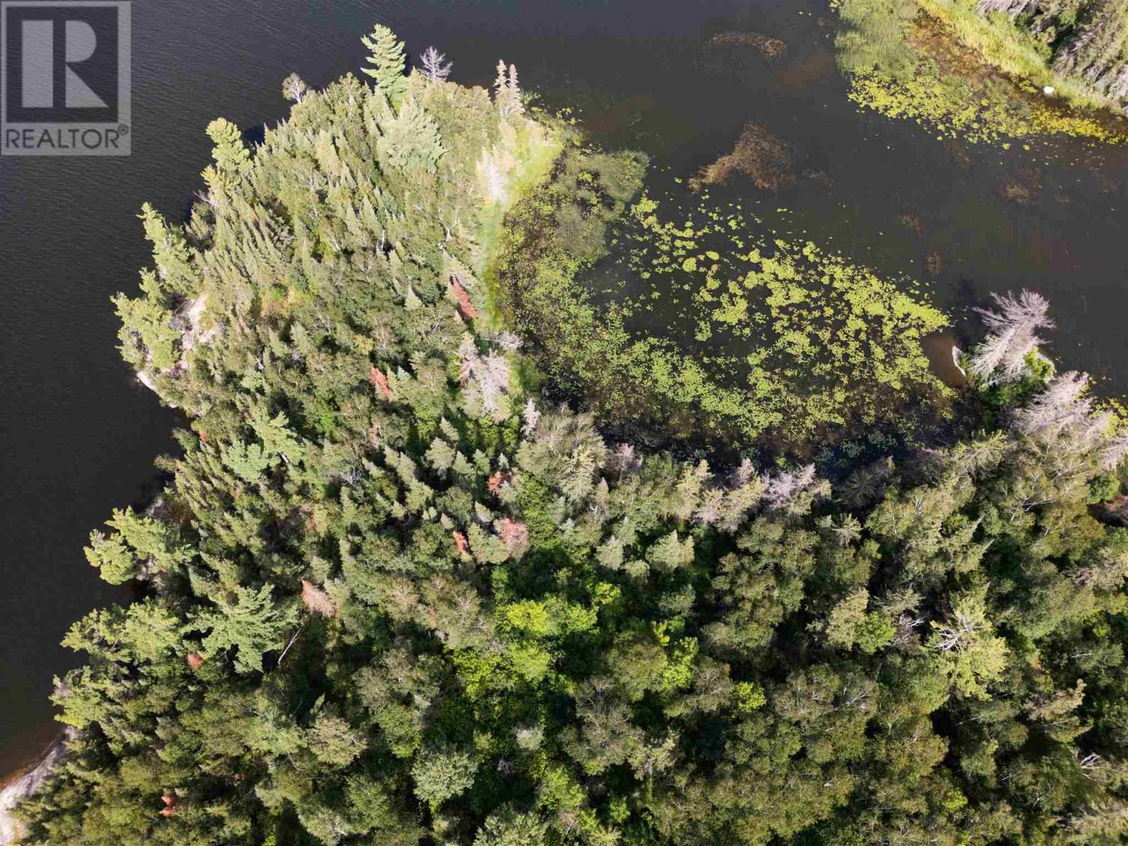 4 AND 11 DORION ISLAND LAKE OF THE WOODS Image 16