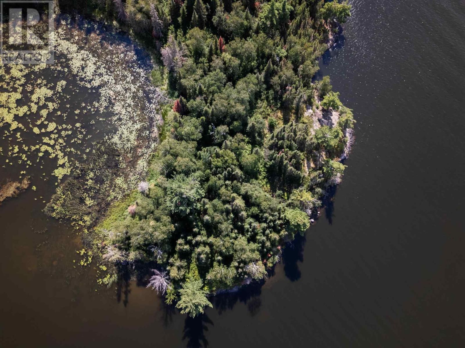 4 AND 11 DORION ISLAND LAKE OF THE WOODS Image 19