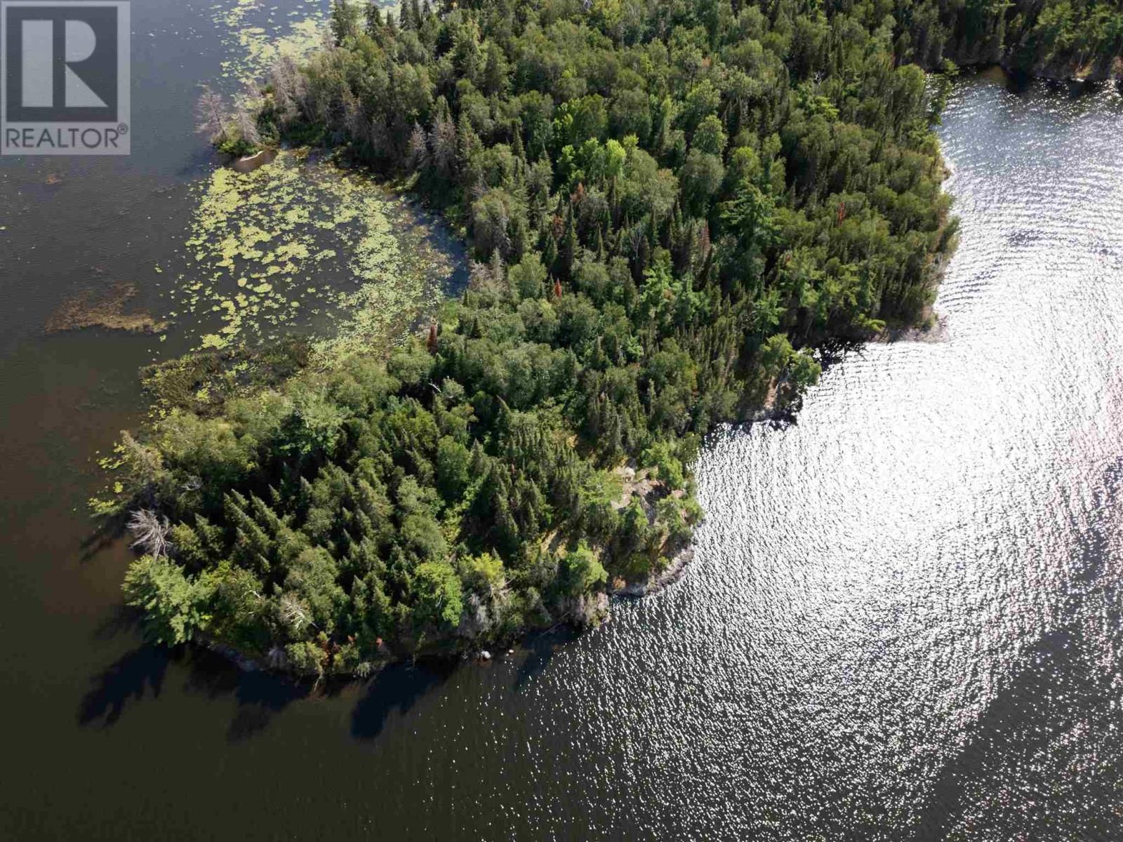 4 AND 11 DORION ISLAND LAKE OF THE WOODS Image 3