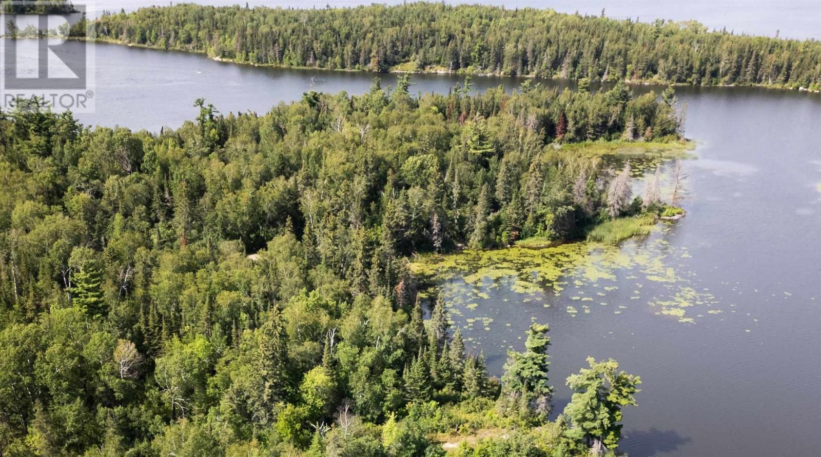 4 AND 11 DORION ISLAND LAKE OF THE WOODS Image 8