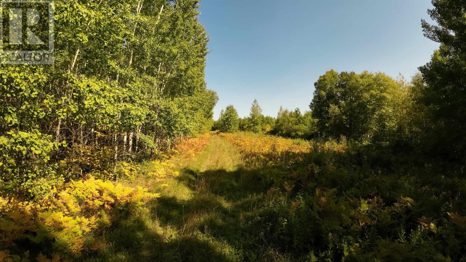 46-3 GOVERNMENT RD Image 1