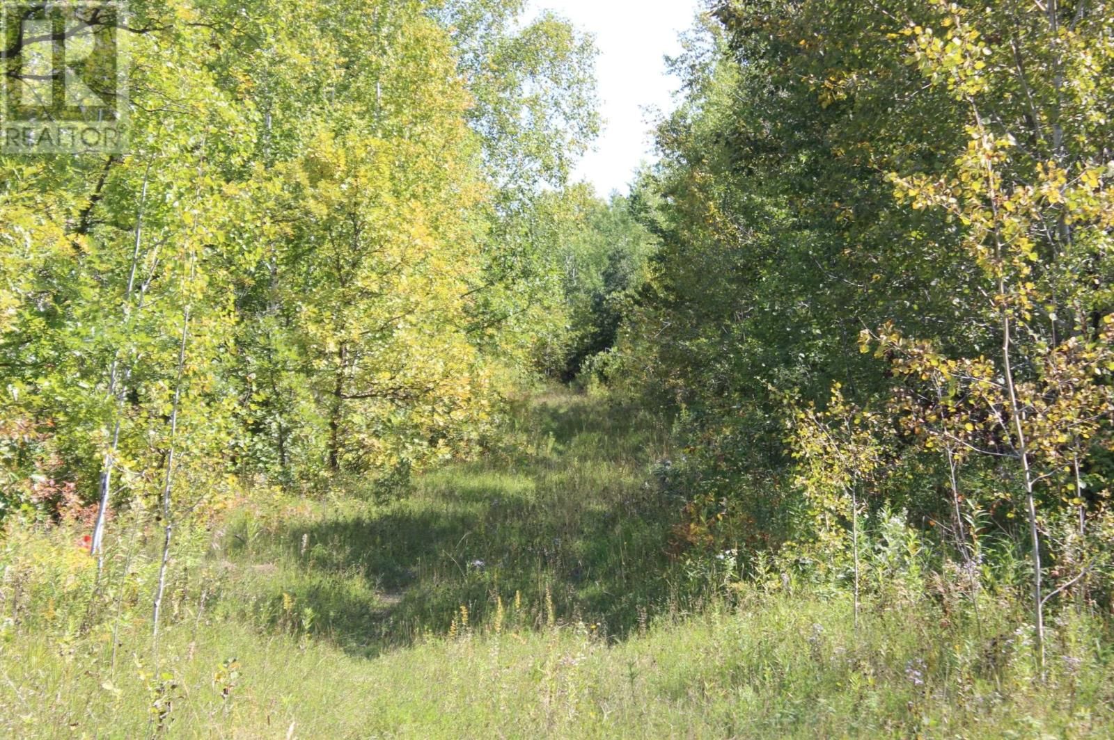 46-3 GOVERNMENT RD Image 16