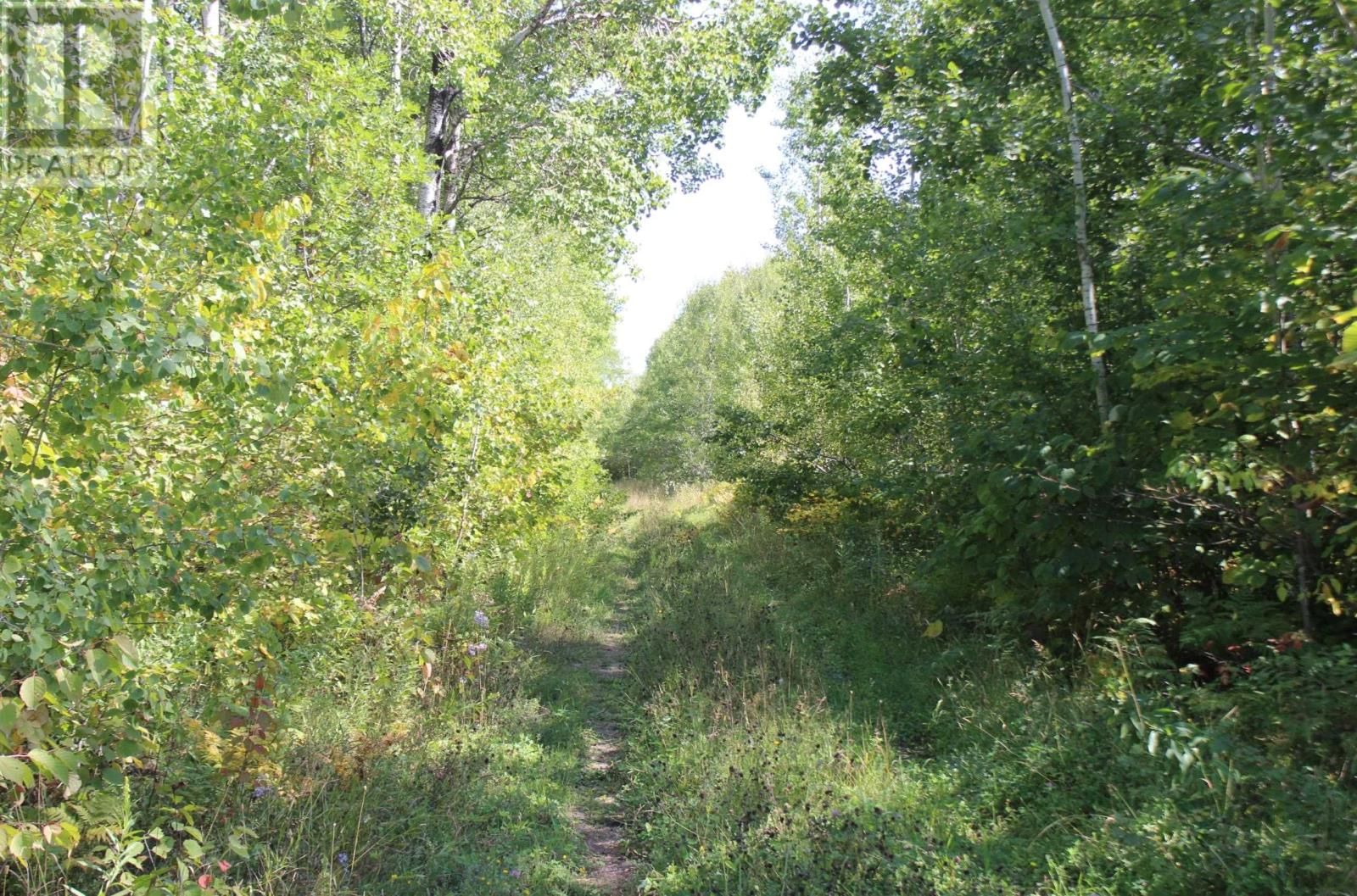 46-3 GOVERNMENT RD Image 18