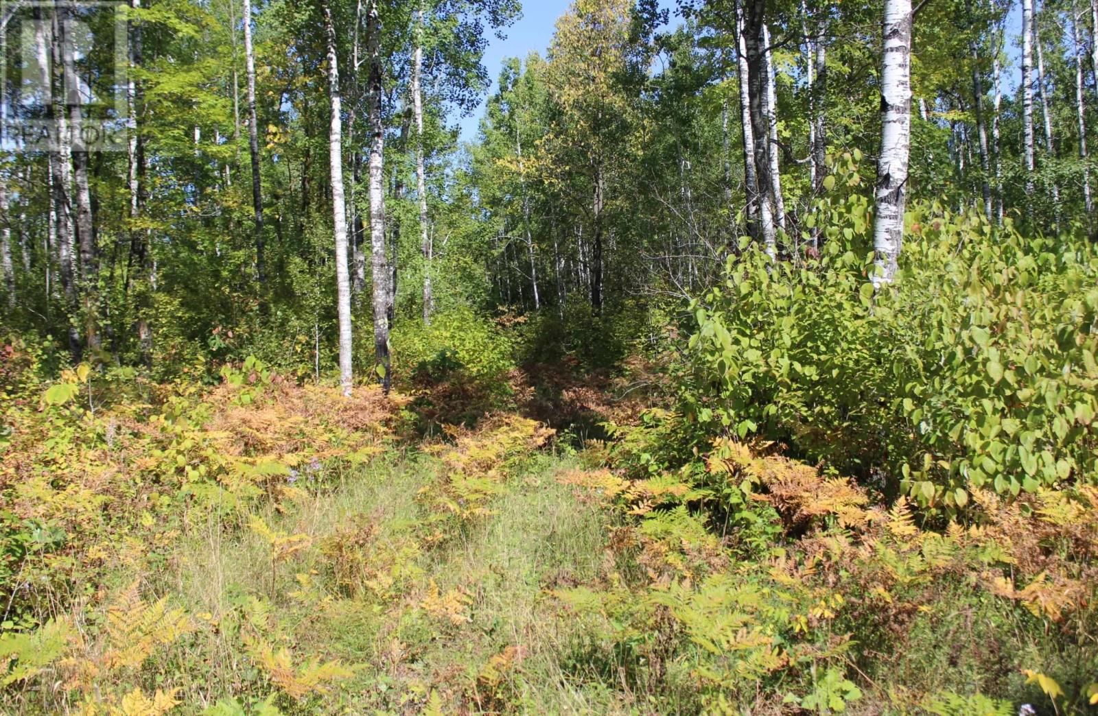 46-3 GOVERNMENT RD Image 19