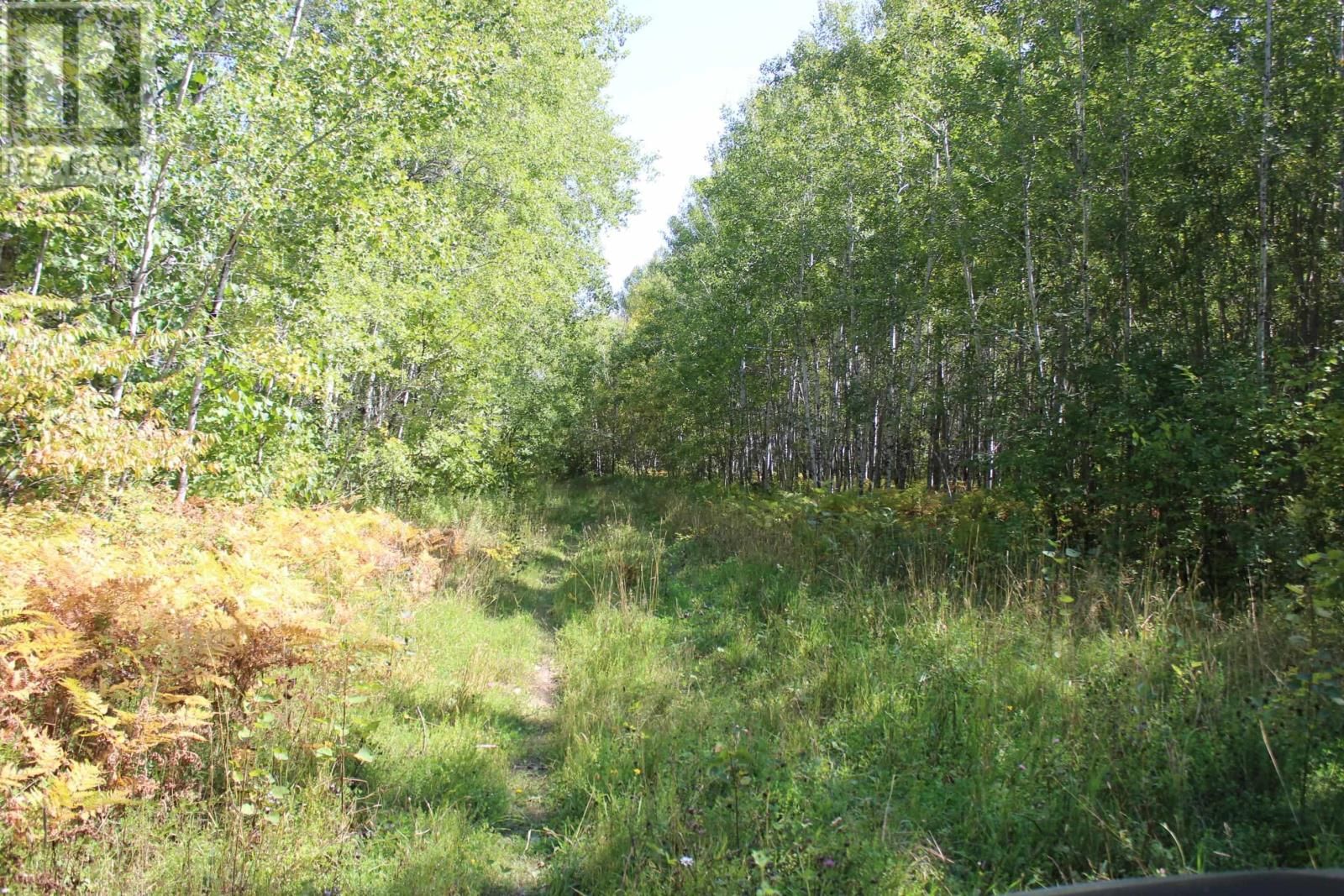 46-3 GOVERNMENT RD Image 20