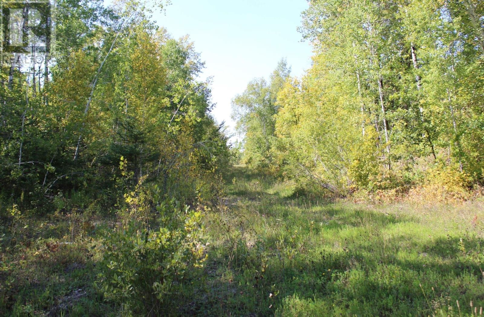 46-3 GOVERNMENT RD Image 24