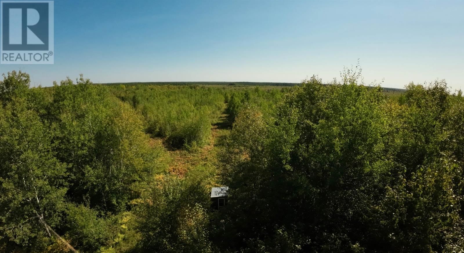 46-3 GOVERNMENT RD Image 9