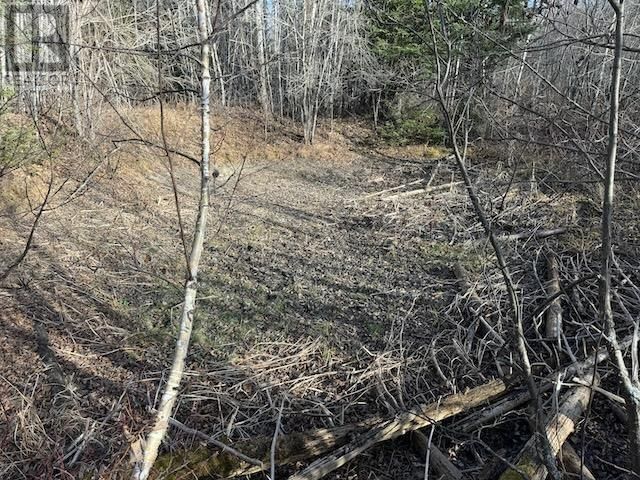 PCL 24623 - 17837 SANDY POINT RD Image 2