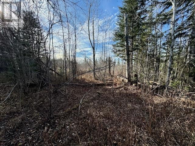 PCL 24623 - 17837 SANDY POINT RD Image 3