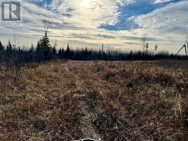 PCL 24623 - 17837 SANDY POINT RD Image 4