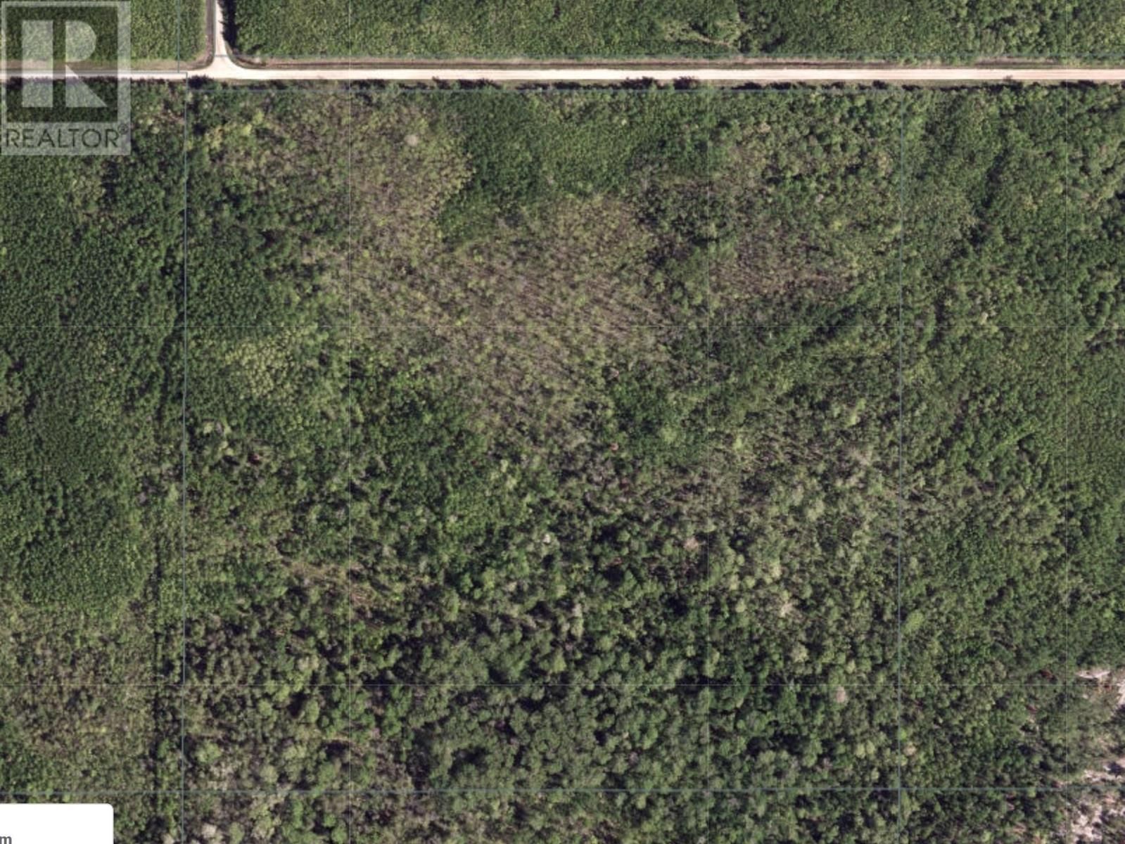 11483 BUDREAU RD Image 12