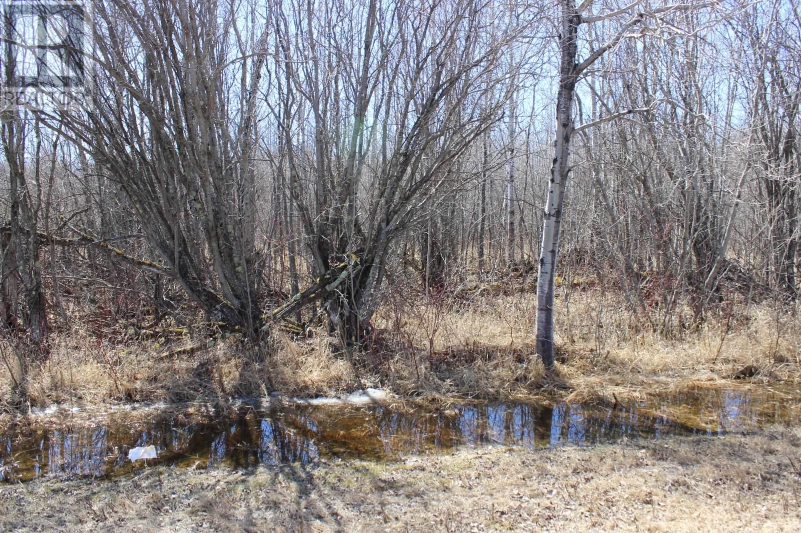 11483 BUDREAU RD Image 13