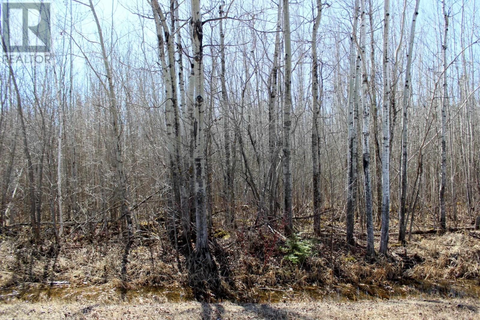 11483 BUDREAU RD Image 15