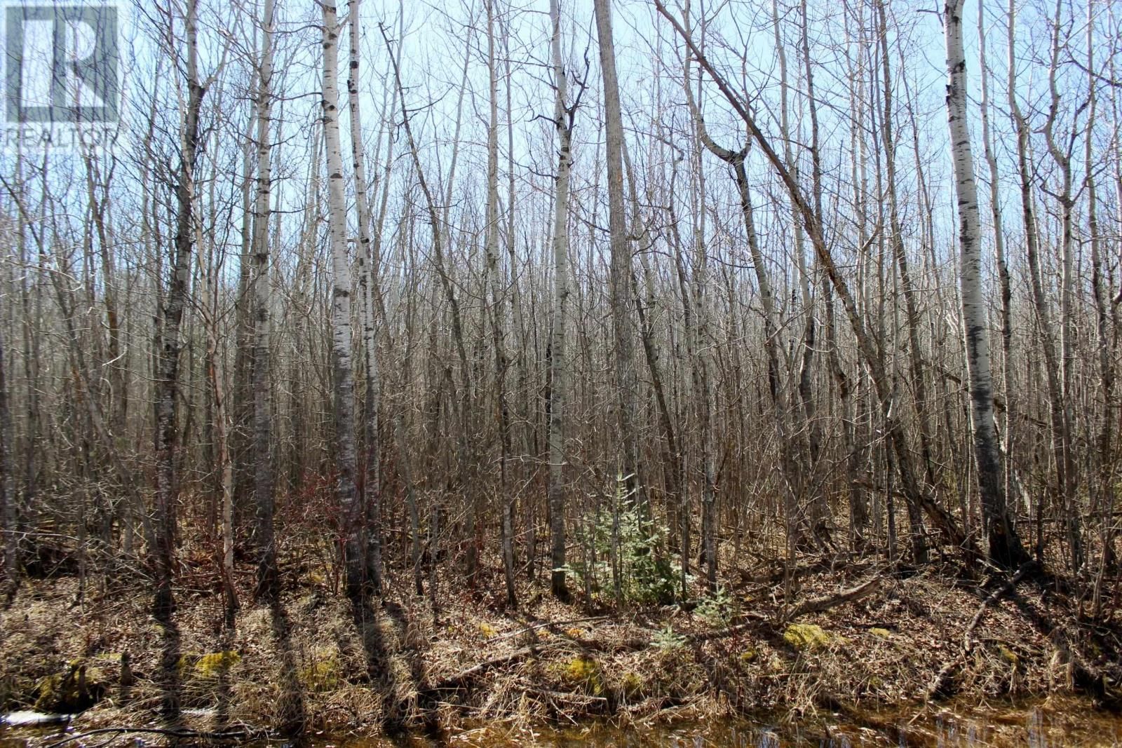 11483 BUDREAU RD Image 16