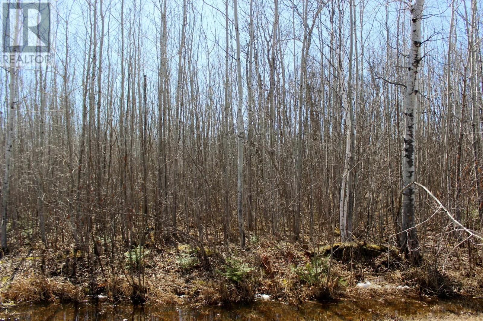 11483 BUDREAU RD Image 17