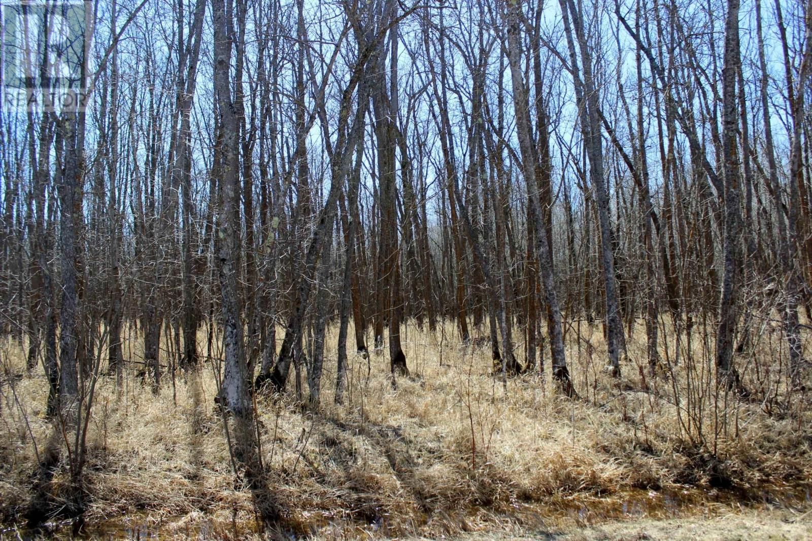 11483 BUDREAU RD Image 18