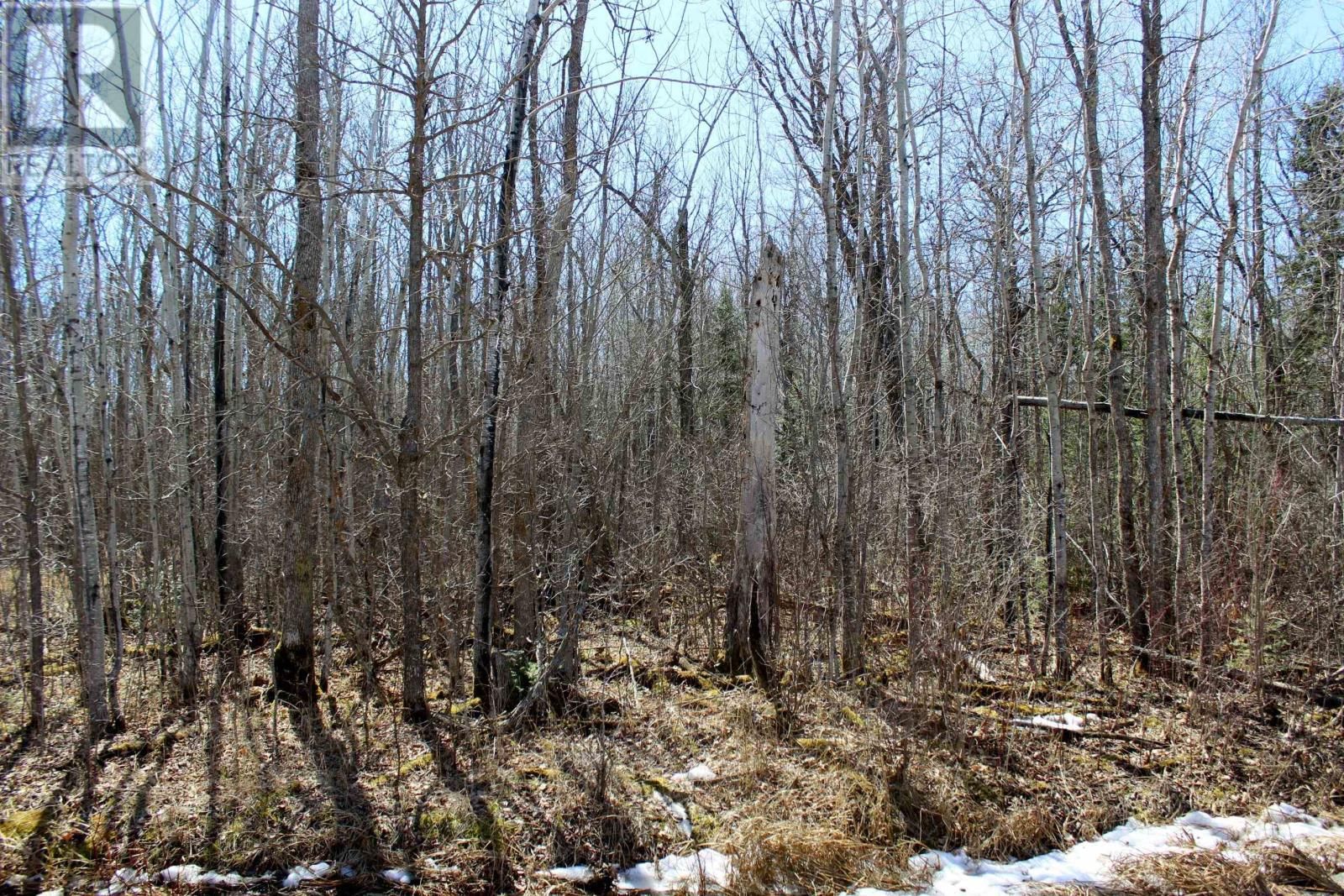 11483 BUDREAU RD Image 19