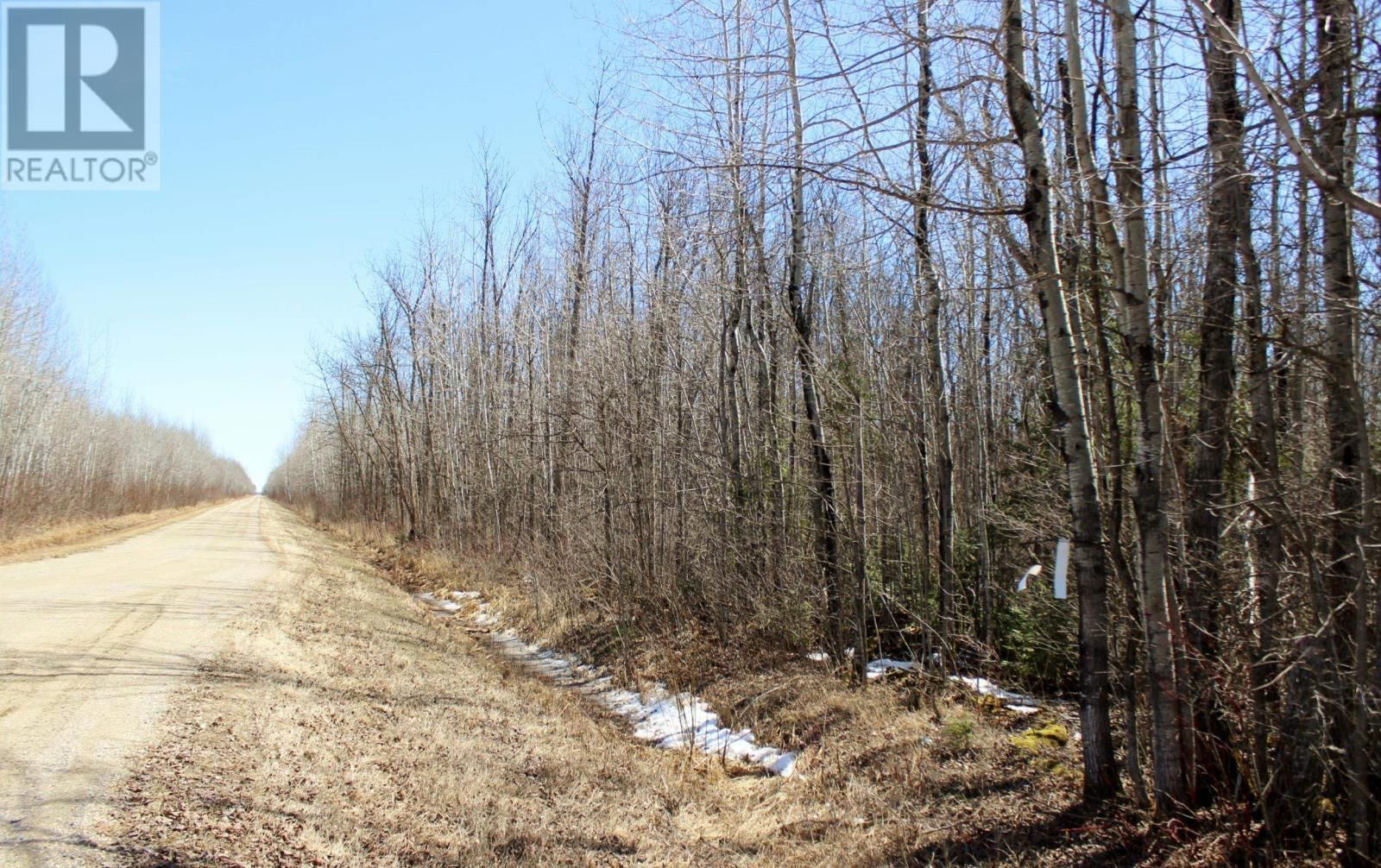 11483 BUDREAU RD Image 20