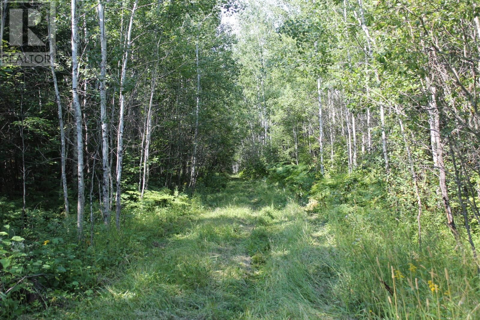 15400 POLLARD RD Image 10