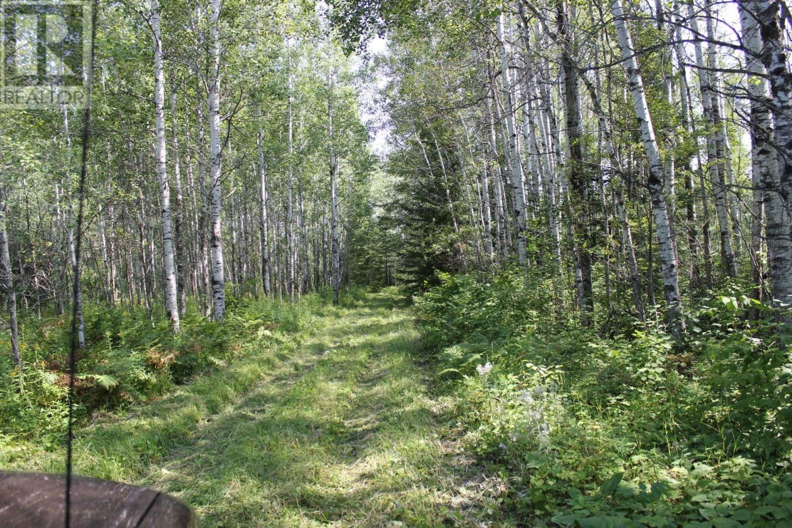 15400 POLLARD RD Image 11