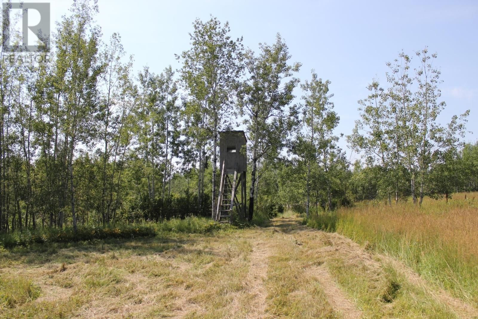 15400 POLLARD RD Image 17