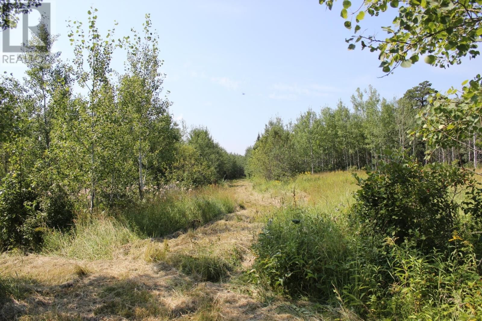 15400 POLLARD RD Image 18