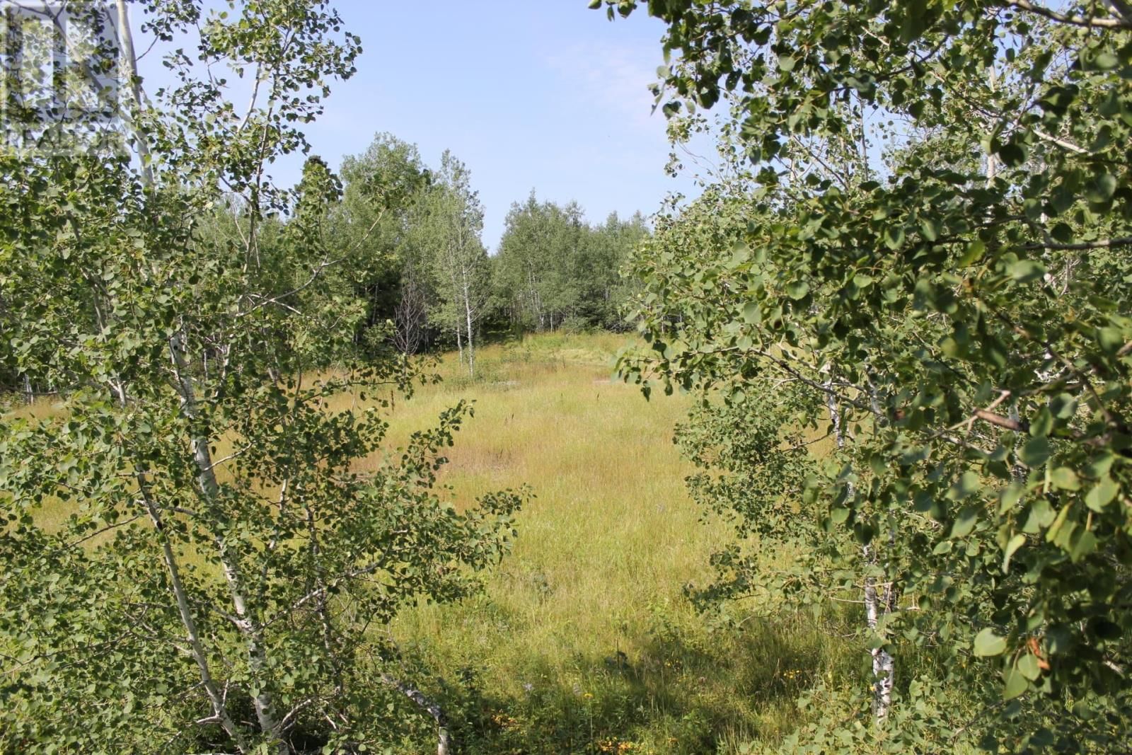 15400 POLLARD RD Image 21