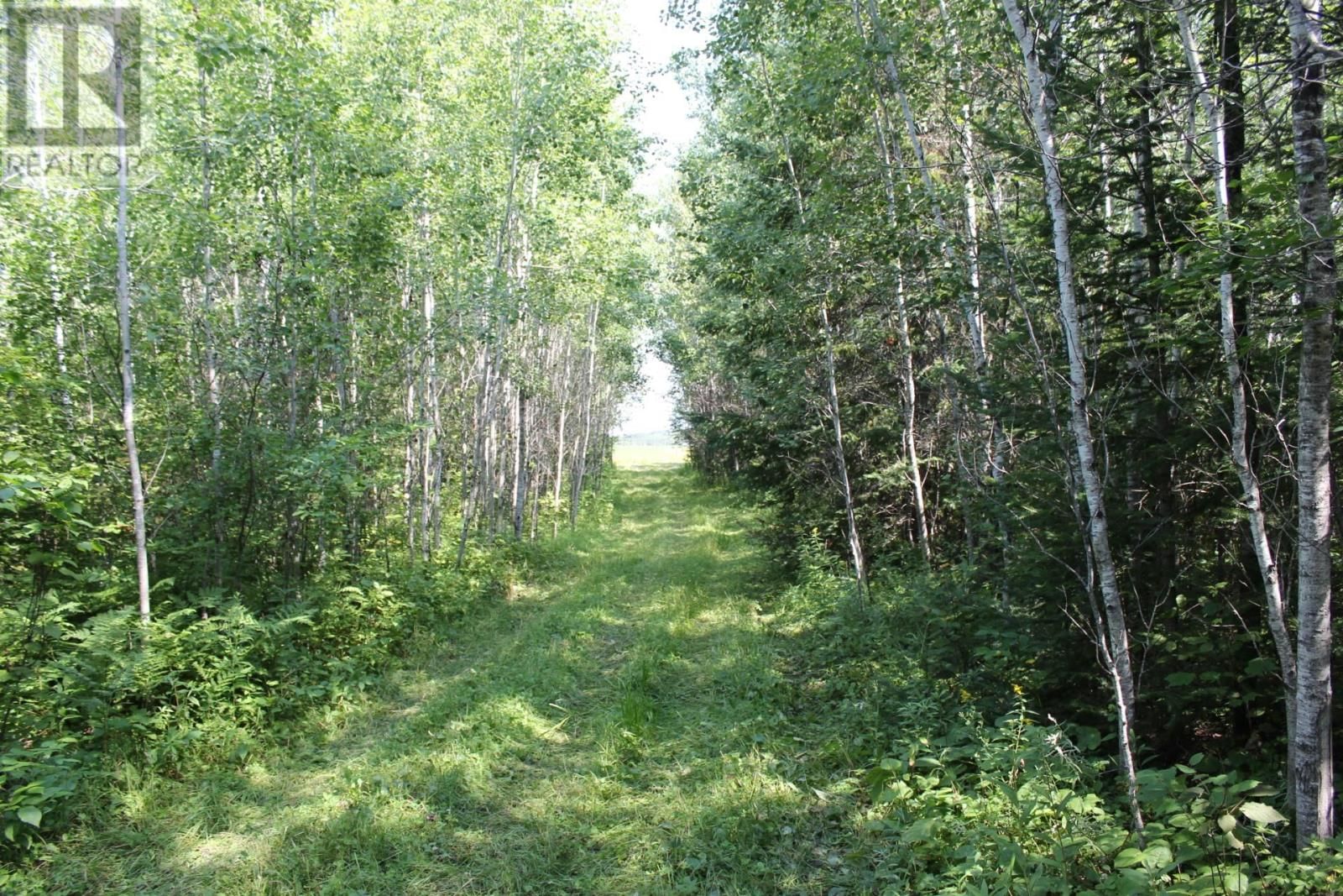 15400 POLLARD RD Image 27