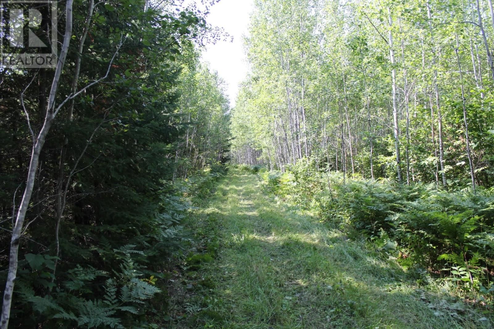 15400 POLLARD RD Image 28