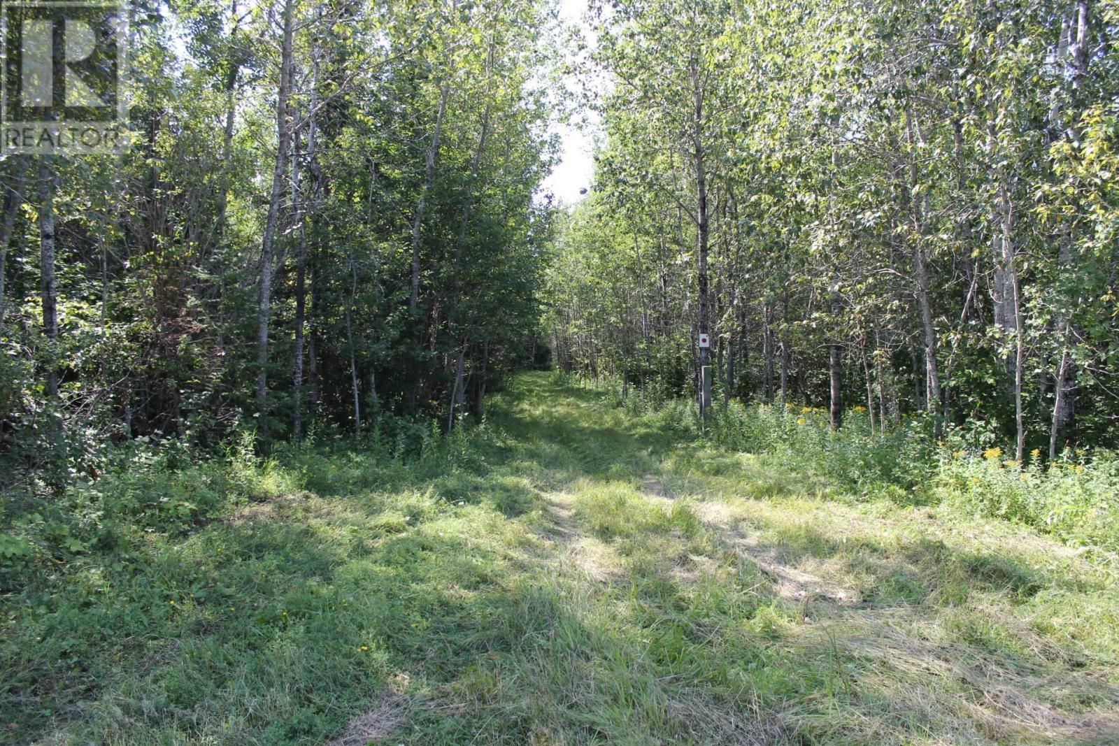 15400 POLLARD RD Image 29