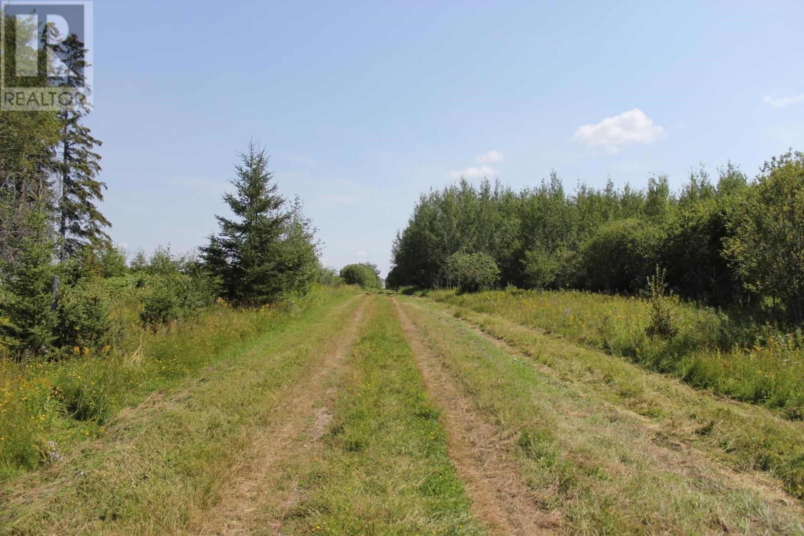 15400 POLLARD RD Image 30