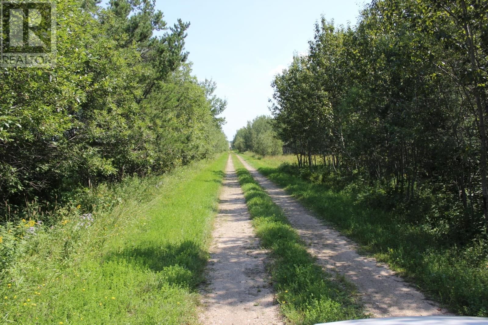 15400 POLLARD RD Image 8