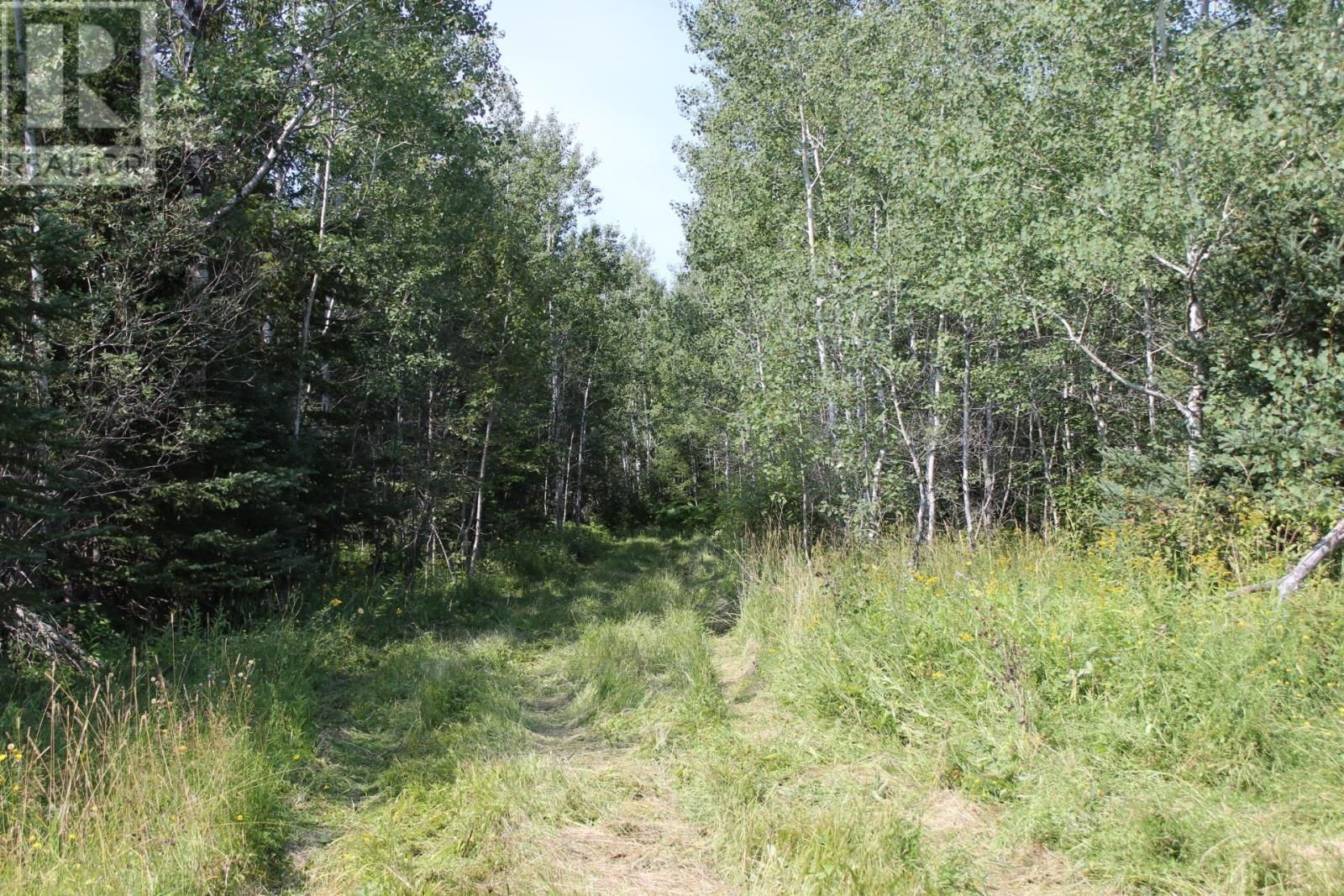 15400 POLLARD RD Image 9