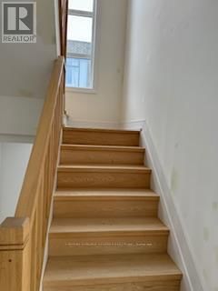 7 WYLIE STREET Image 13