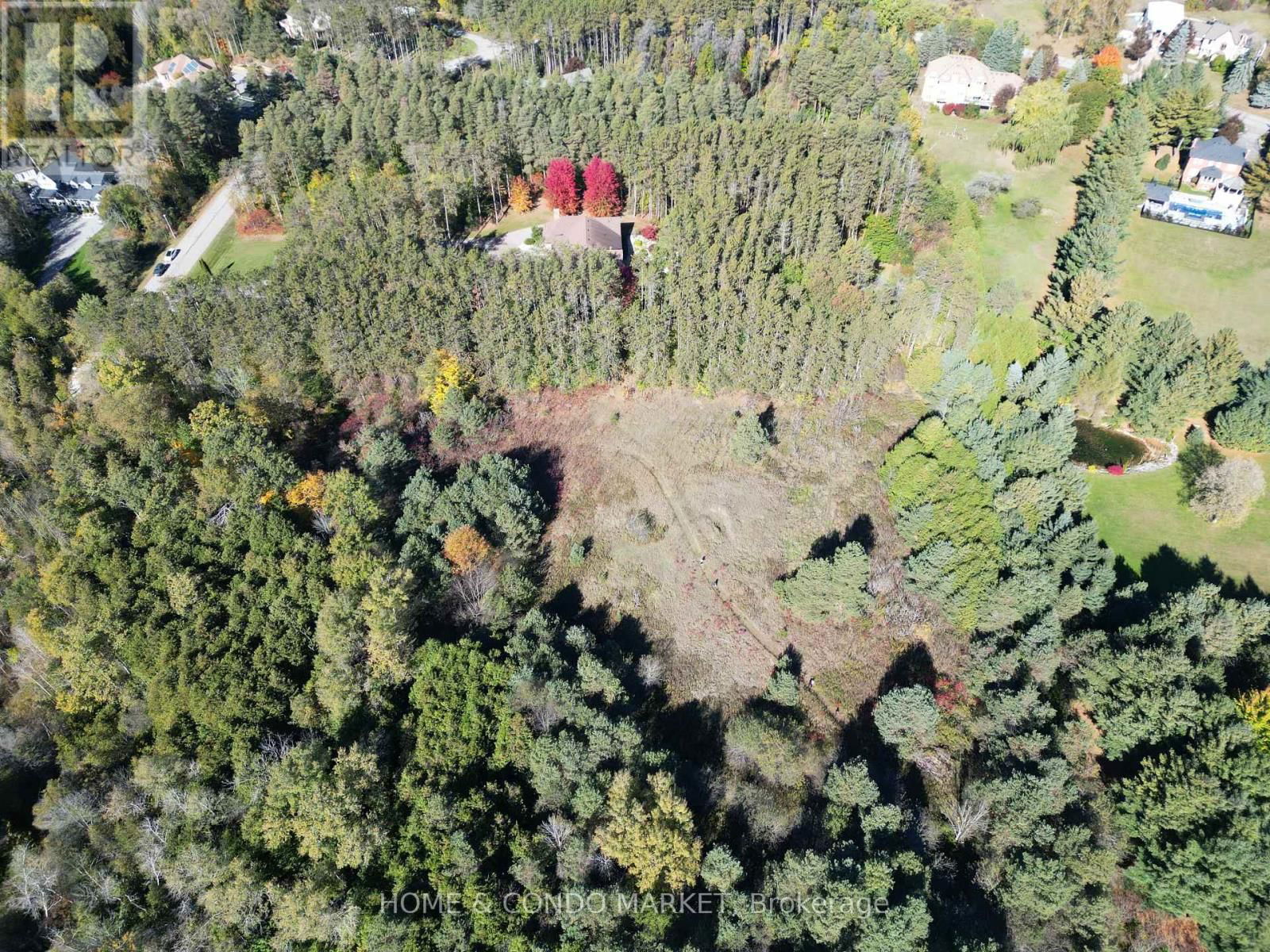 Primary Property View