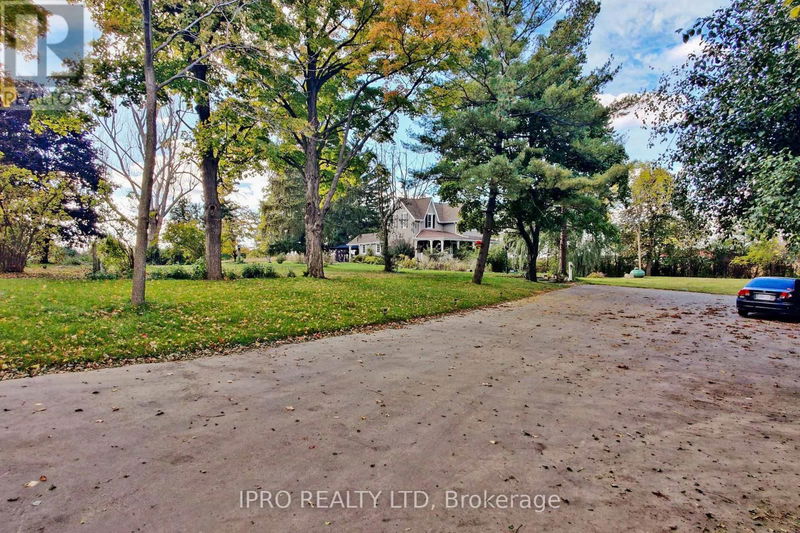 Tertiary Property View